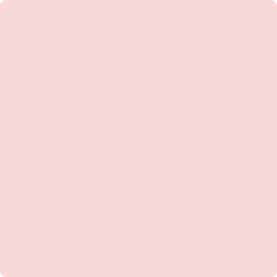1338-Powder: Blush a paint color by Benjamin Moore avaiable at Clement's Paint in Austin, TX.