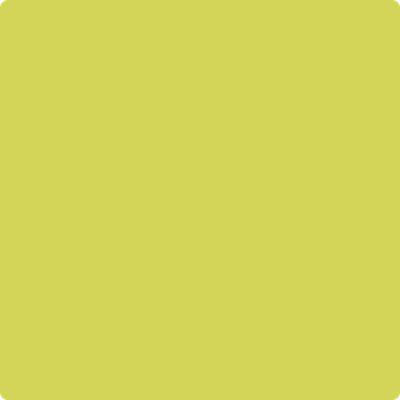CSP-860: Granny Smith a paint color by Benjamin Moore avaiable at Clement's Paint in Austin, TX.