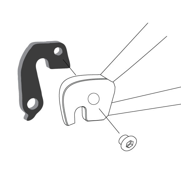 Hanger #65 attaches to the frame's rear dropout from the inside or hub side using one M8 chainring bolt.