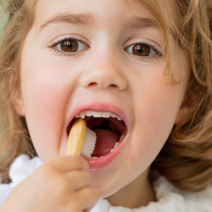 1er Dentifrice