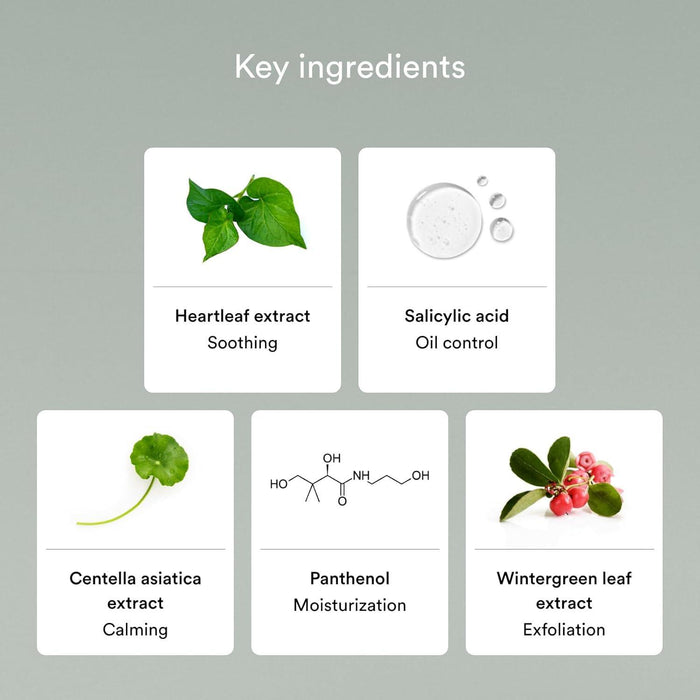 Abib Foam Cleanser Heartleaf Foam 150 mL