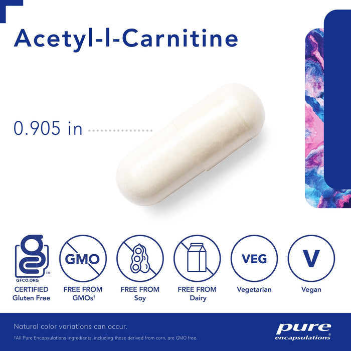 Acetyl-L-Carnitine 500 mg 60 Capsules by Pure Encapsulations