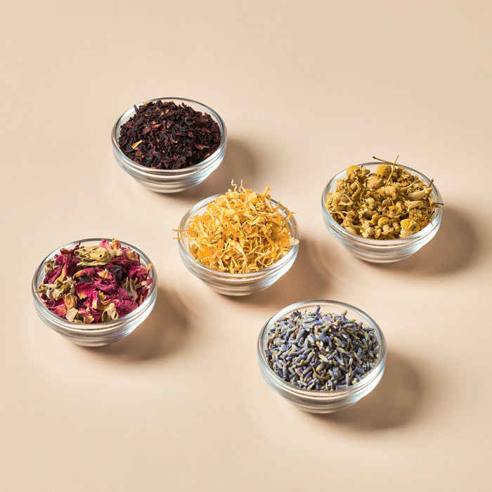 Best Selling Botanical & Herb Sample Set