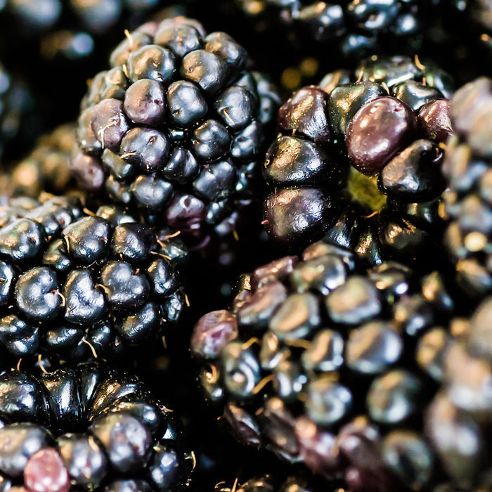 Blackberry Amber - EO & FO Blend 825