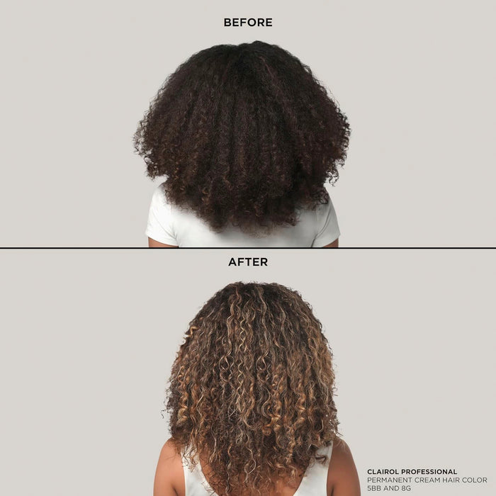 Clairol BW2+ Powder Lightener 8oz/ 227g - ikatehouse