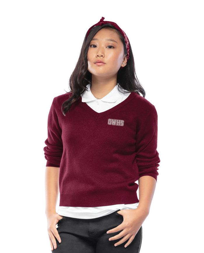 Classroom School Adult Unisex Long Sleeve V-Neck Sweater Pullover