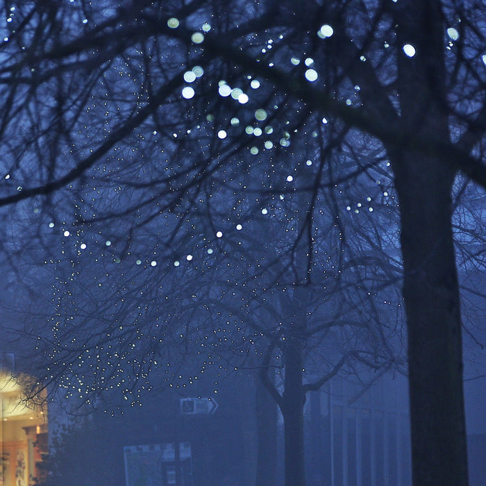 ML100WG_White-Low-Voltage-Christmas-Lights_P3_ccaee9fd-6c29-4a1d-9c52-b0f87f7e790b.jpg