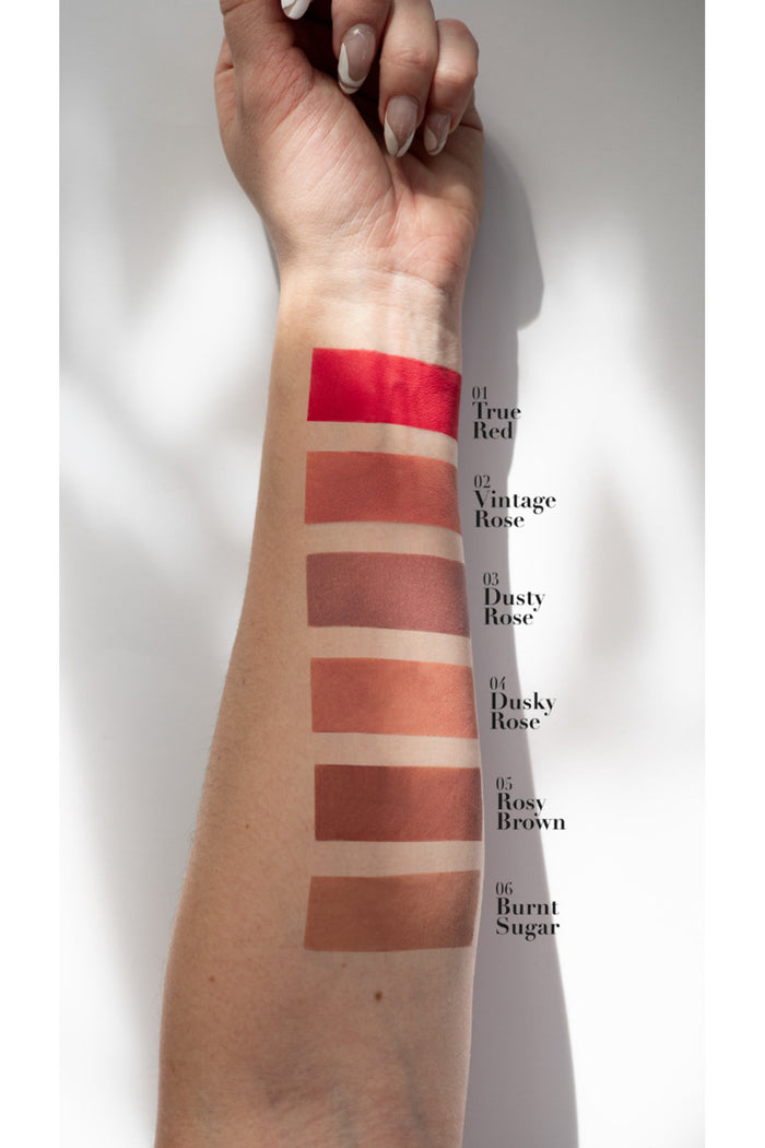 COVER MATTE LIQUID LIPSTICK Pierre Rene NO. 04