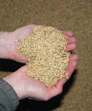 Crushed Barley 20Kg