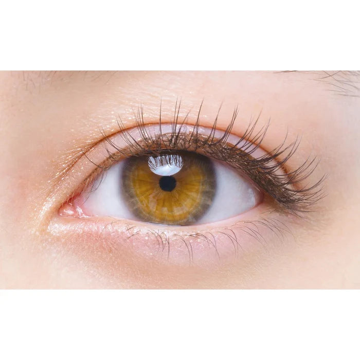D-UP Eyelashes 2 pairs