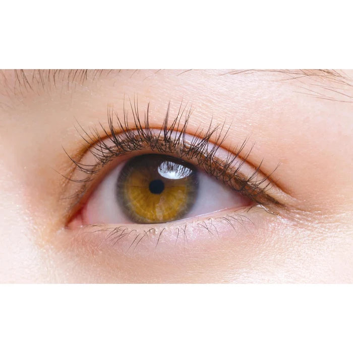 D-UP Eyelashes 2 pairs