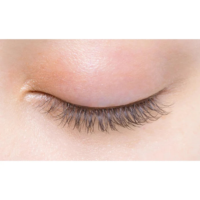 D-UP Eyelashes 2 pairs