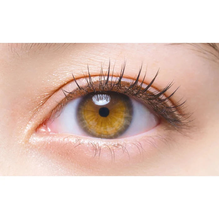 D-UP Eyelashes 2 pairs