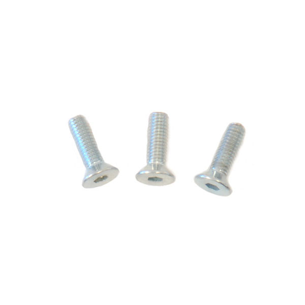 (3) M3x10 Flat Head Screws