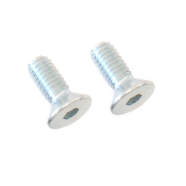 (2) M4x10 Flat Head Screws