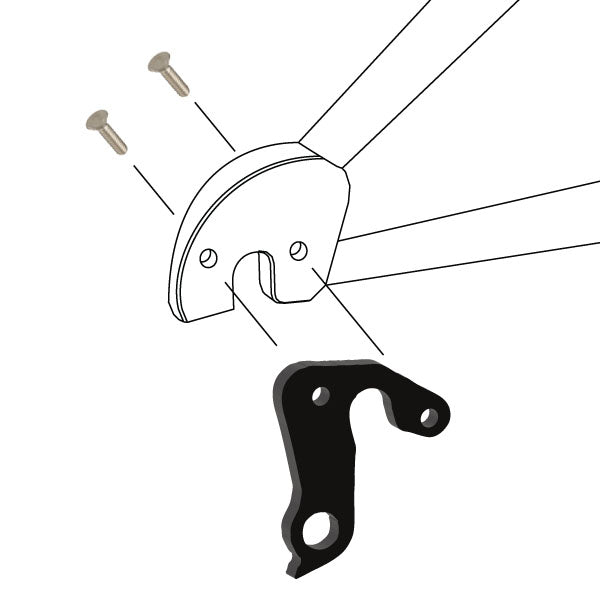 Hanger #116 attaches to the frame's rear dropout from the outside using two M5x10 flat head screws.