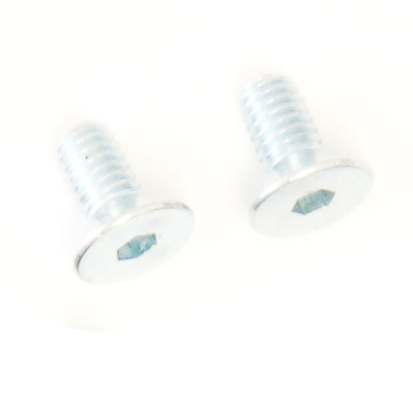 (2) M4x10 Flat Head Screw