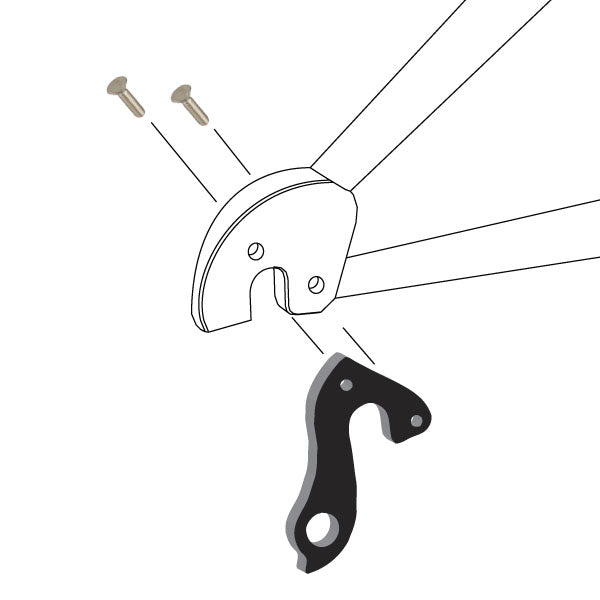 Hanger #138 attaches to the frame's rear dropout from the inside, or hub side using two M4x8 flat head screws.