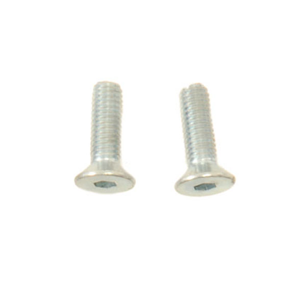 (2) M3x10 Flat Head Screw