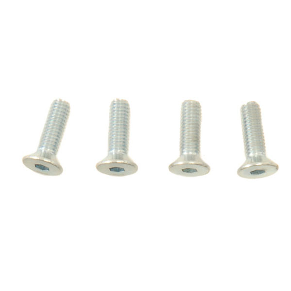 (4) M3x10 Flat Head Screw