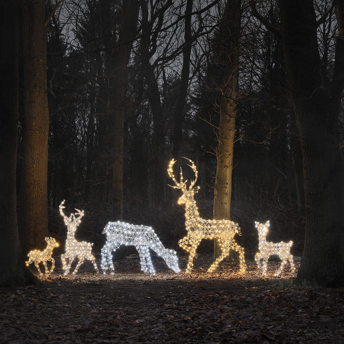 Dual LED Studley Doe & Fawn Light Up Reindeer Duo