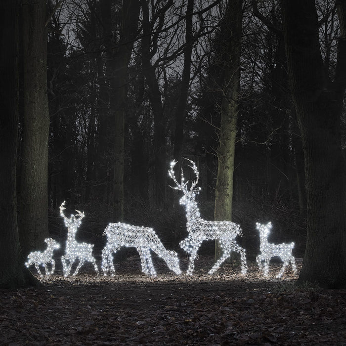Dual LED Studley Doe & Fawn Light Up Reindeer Duo
