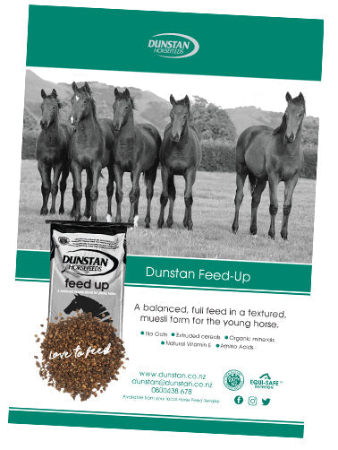 DUNSTAN Feed Up 20Kg