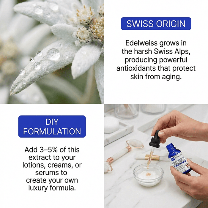 edelweiss grows in the harsh Swiss Alps, producing powerful antioxidants that protect skin from aging