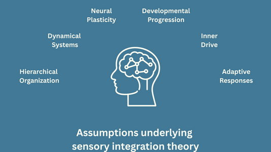 Essentials of Sensory Integration Theory Part One: Modulation and Somatosensory Processing