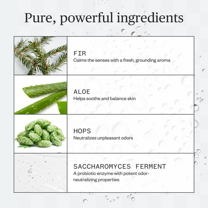 Ursa Major-Forest Fix Spray Deodorant-Body-ForestFixSprayDeo_06_8bb4ac04-5bb3-438e-9cfa-0317c8d05373-The Detox Market |