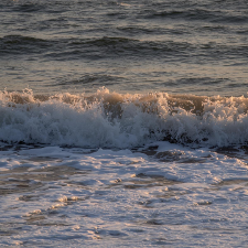 Fragrance Oil - High Tide