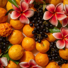 Fragrance Oil - Tangelo Kumquat