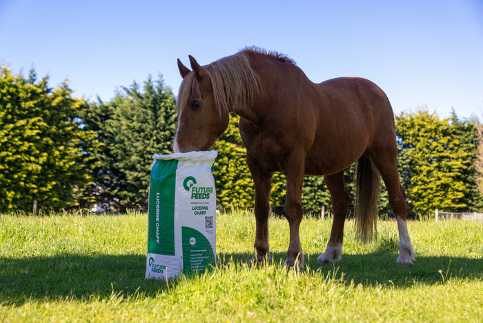 Future Feeds Chaff 20Kg