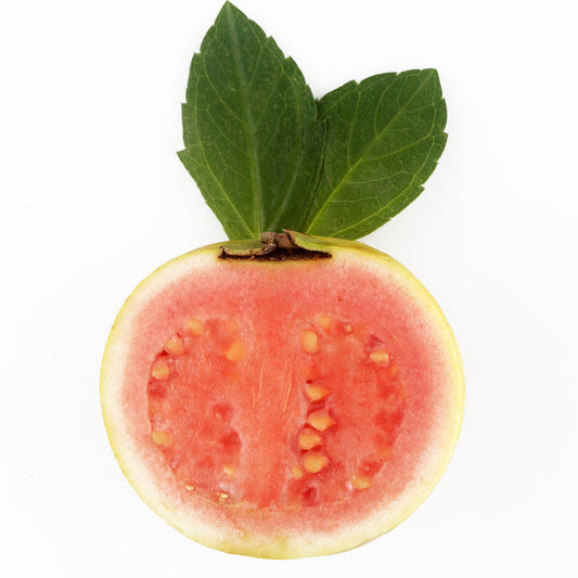 Guavaberry Goji Fragrance Oil 760