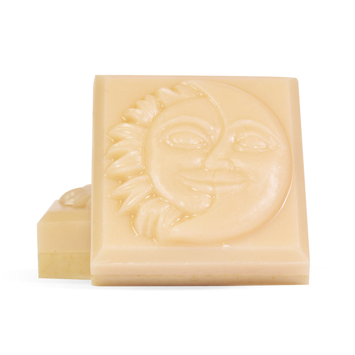 Harvest Pumpkin Soap Making Kit