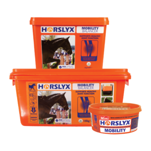 Horslyx Original Balancer