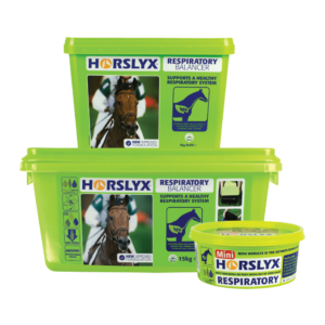 Horslyx Original Balancer
