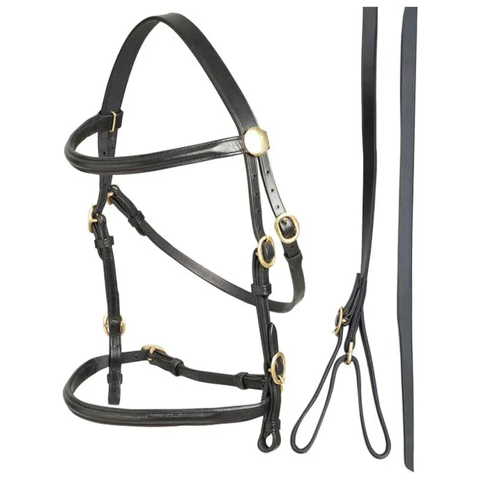 In-Hand Bridle - Havana