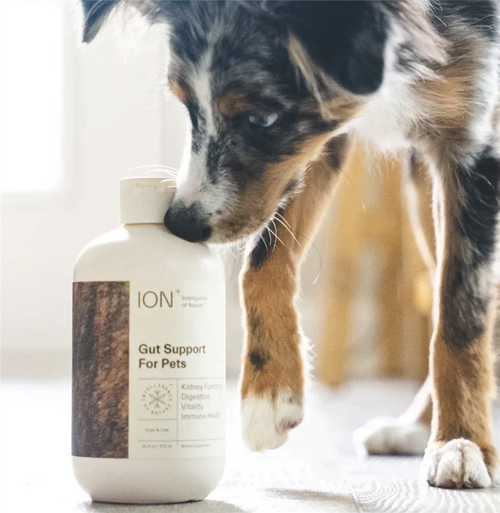 ION Gut Support For Pets (16 oz) by ION Biome