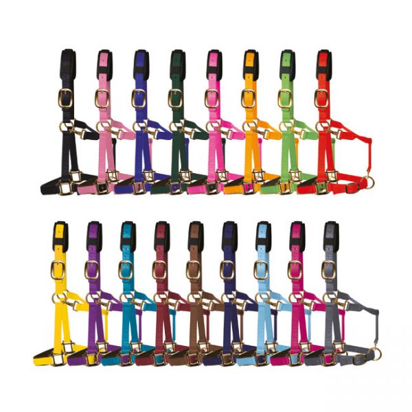 KM ELITE Luxury Padded Headcollar Halter