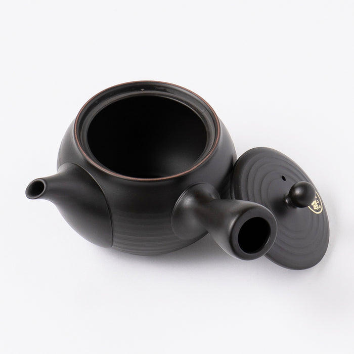 Kyusu Teapot Tokoname Yaki -Black lines [Fine mesh filter]