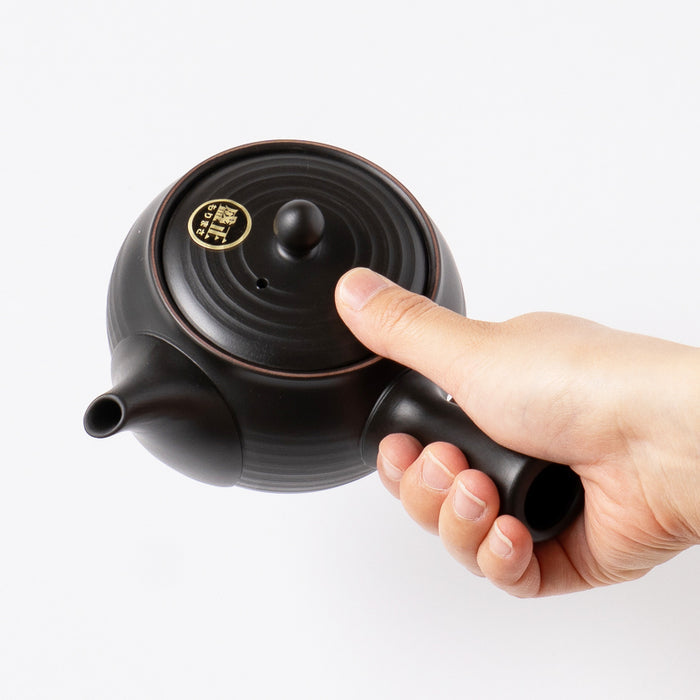 Kyusu Teapot Tokoname Yaki -Black lines [Fine mesh filter]