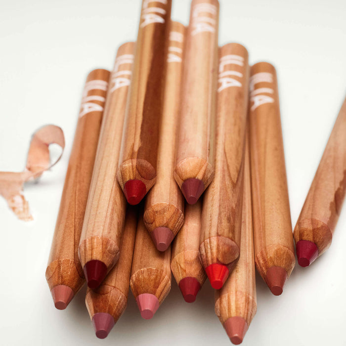 Large Sharpener Taille Crayon