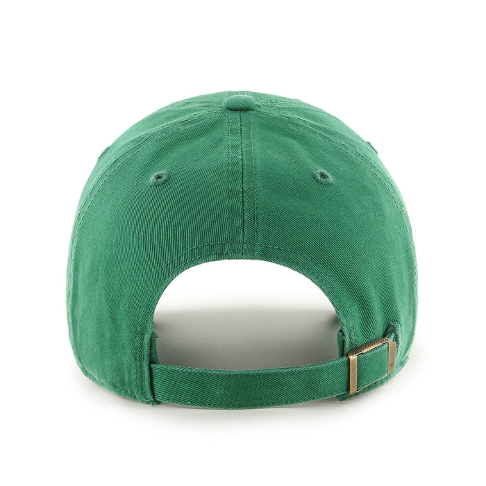Notre Dame Fighting Irish '47 CLEAN UP