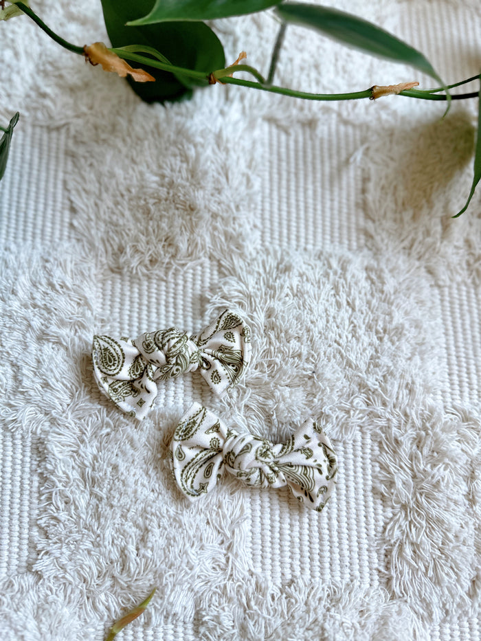 Pigtail Clip Set - Green Paisley