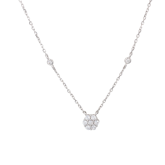 Polo Exchange Accessories PXNE0588