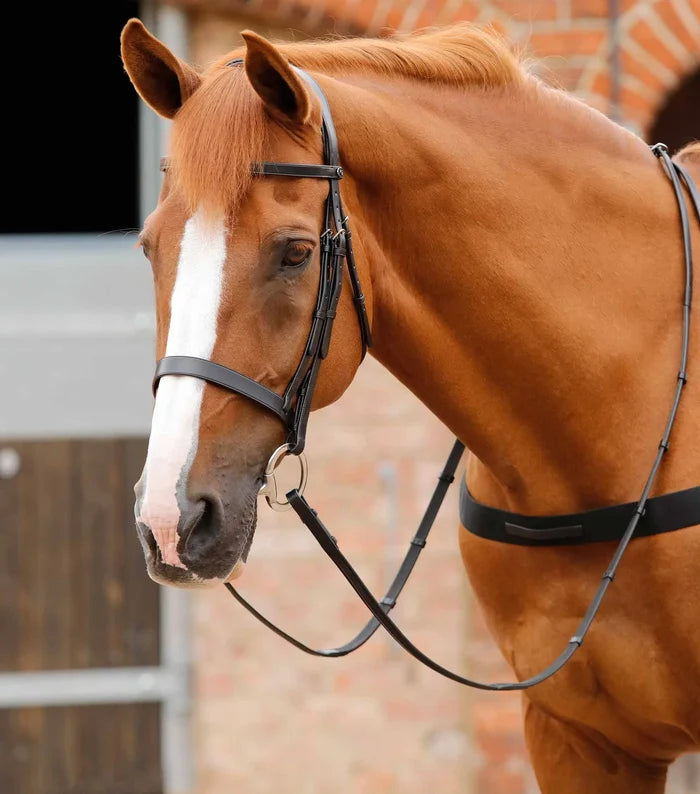 Primo Hunter Bridle