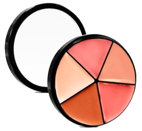 Elan Makeup Studio Professional Lip Palette with Multiple Shades for Custom Looks