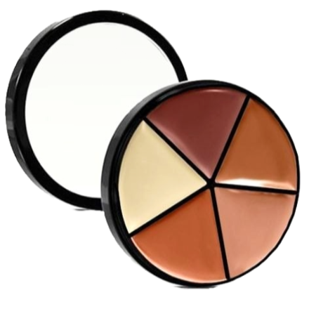 Elan Makeup Studio Professional Lip Palette with Multiple Shades for Custom Looks