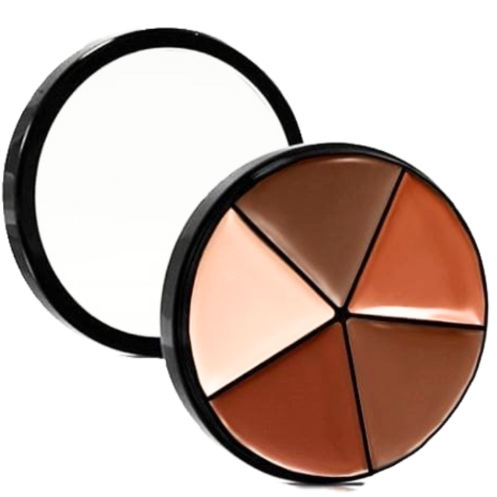 Elan Makeup Studio Professional Lip Palette with Multiple Shades for Custom Looks